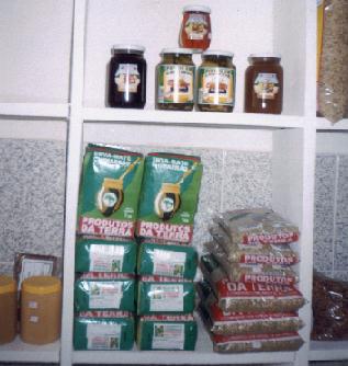 redesol031.jpg (34615 bytes)